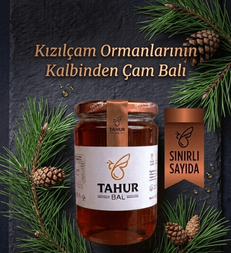 Cam kavanozda koyu amber renkli çam balı