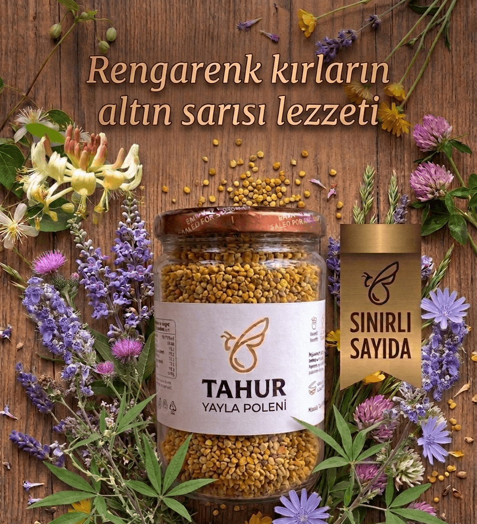 Cam kavanozda rengarenk arı poleni taneleri